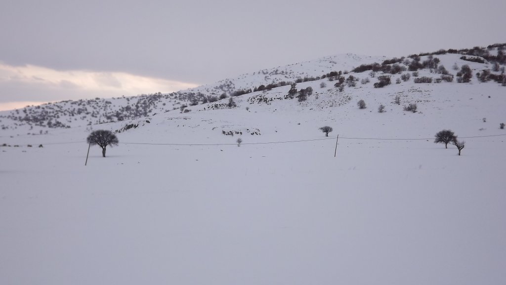 DSCF1152.JPG