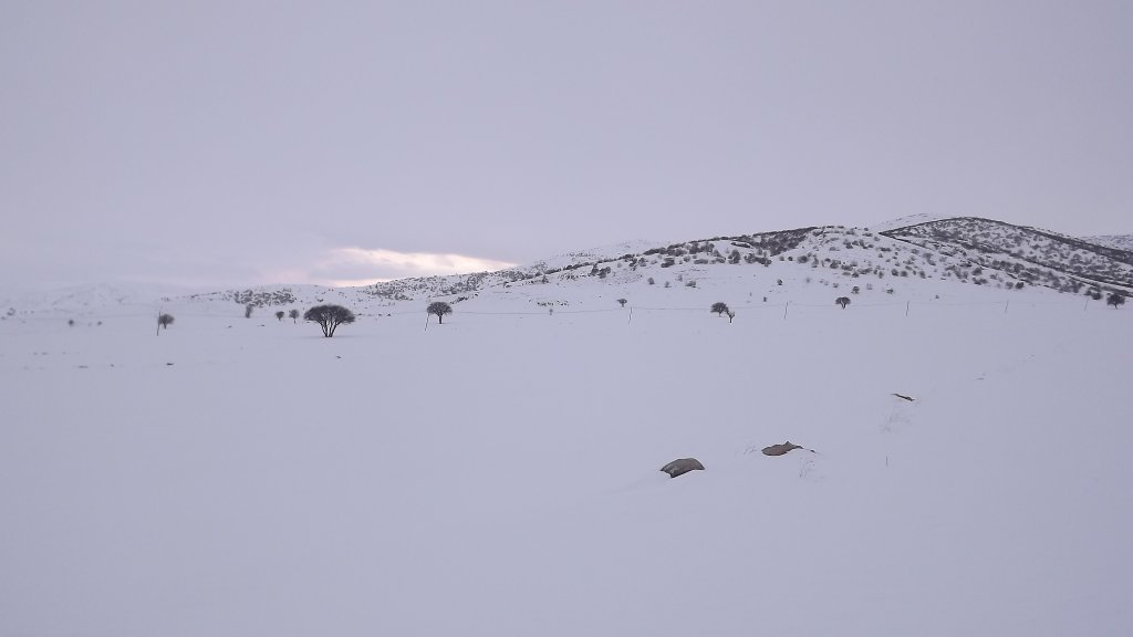 DSCF1153.JPG