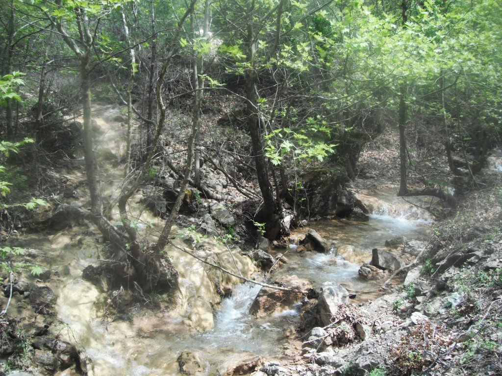 DSCF1168.JPG