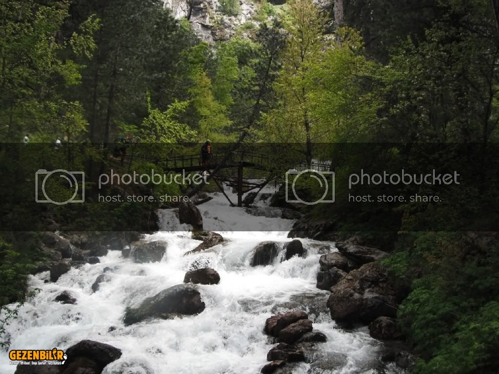 DSCF1216.jpg