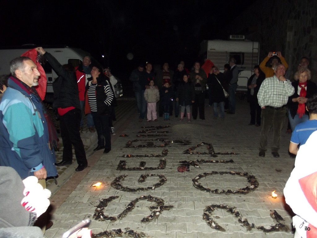 DSCF1219.JPG