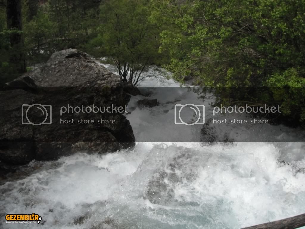 DSCF1227.jpg