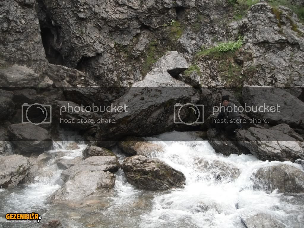 DSCF1229.jpg