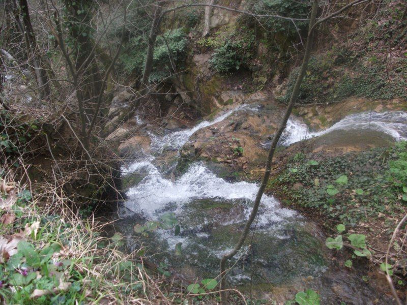 DSCF1385.jpg