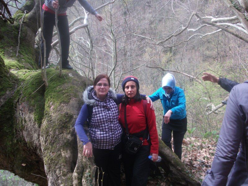 DSCF1388.jpg