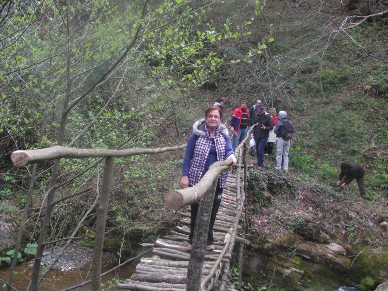 DSCF1401.jpg
