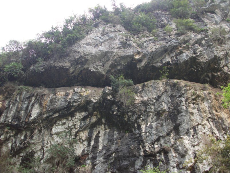 DSCF1736.jpg