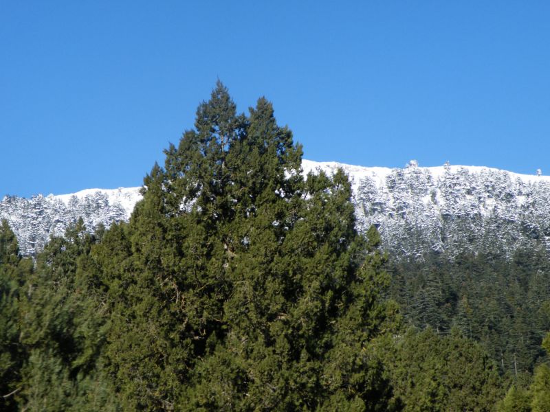 DSCF2010.jpg