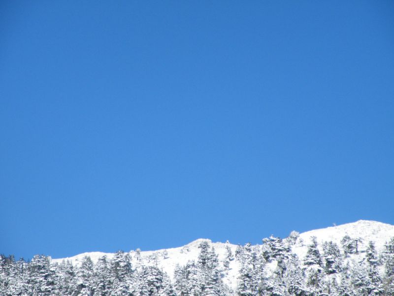 DSCF2011.jpg