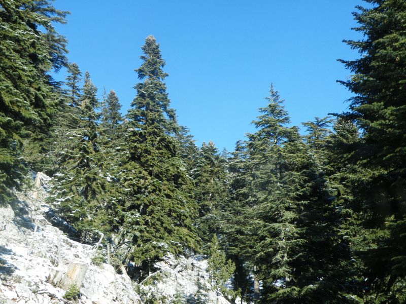 DSCF2014.jpg