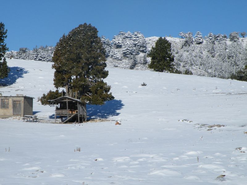 DSCF2027.jpg