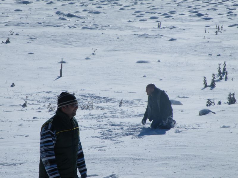DSCF2037.jpg