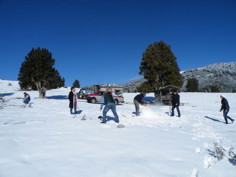 DSCF2044.jpg