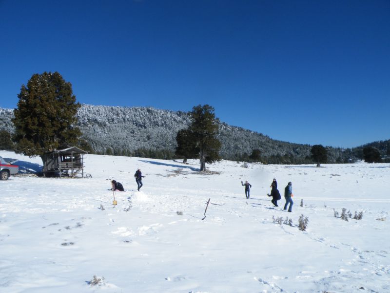 DSCF2047.jpg