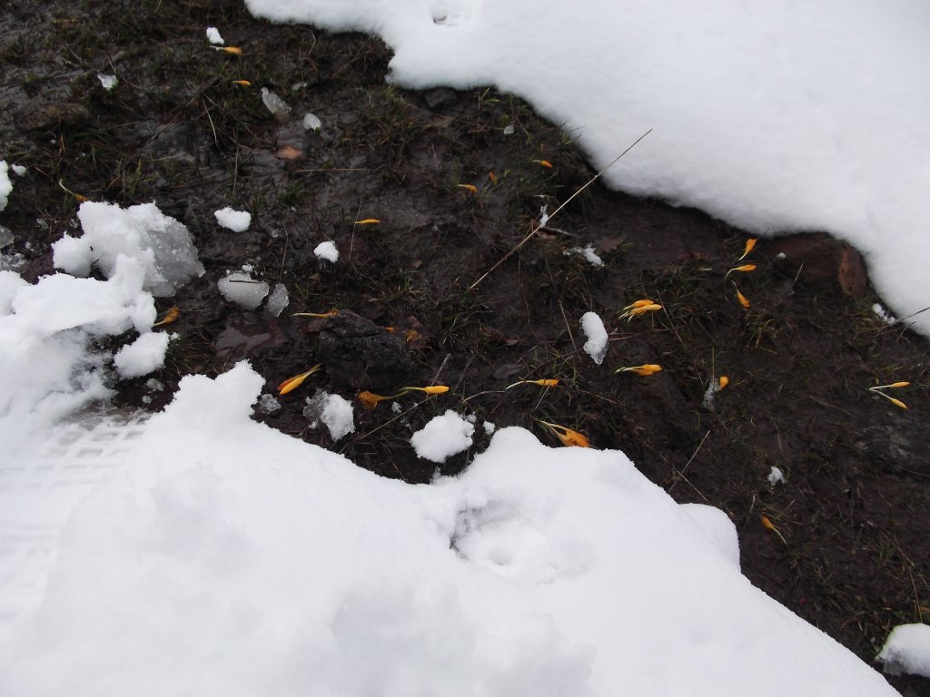 DSCF2048.JPG