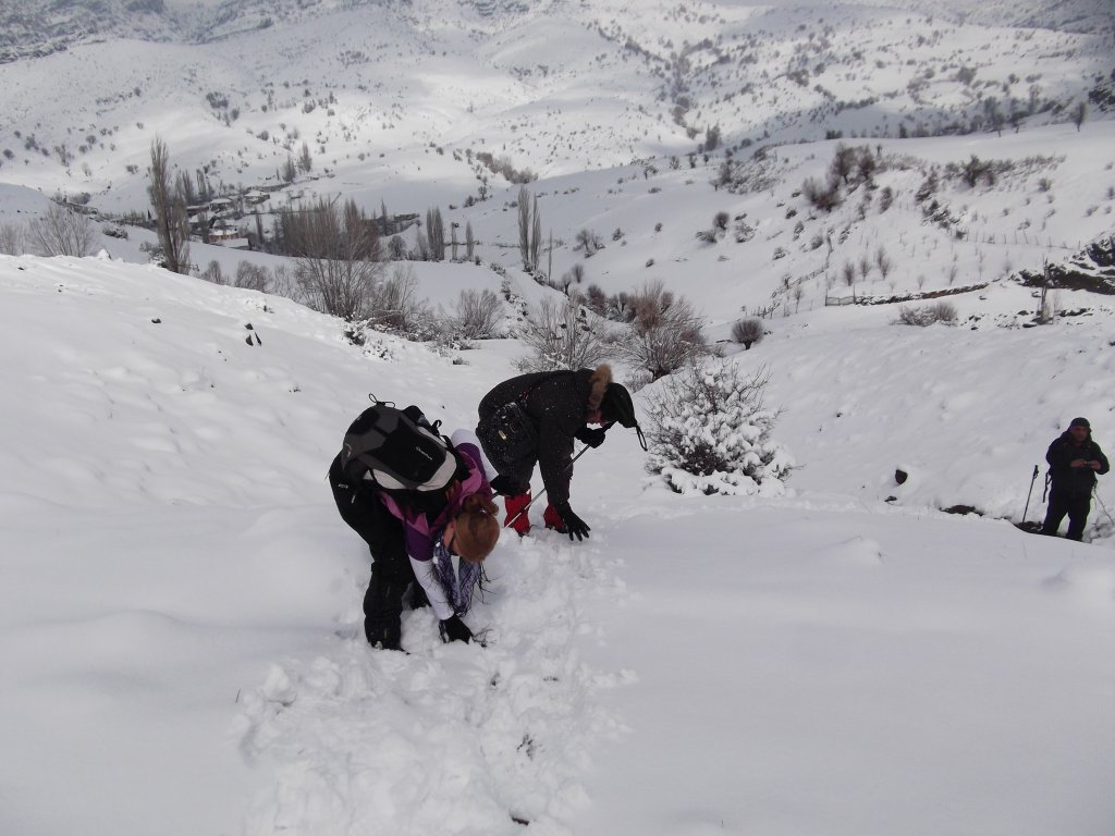DSCF2050.jpg