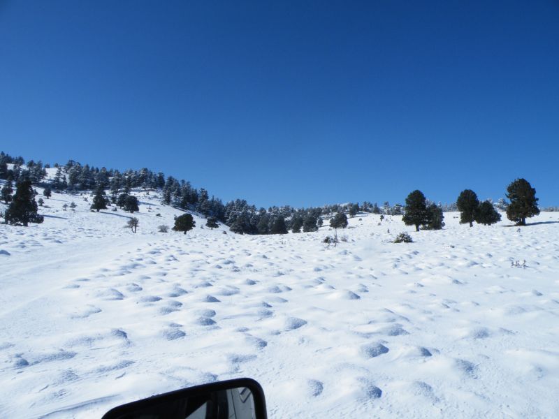 DSCF2055.jpg