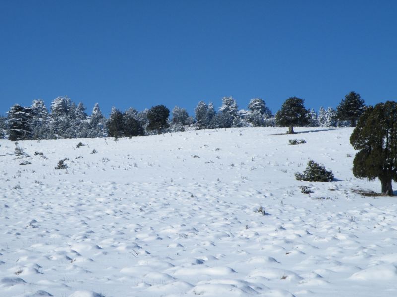 DSCF2056.jpg