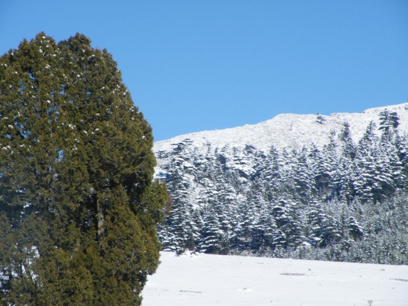 DSCF2059.jpg