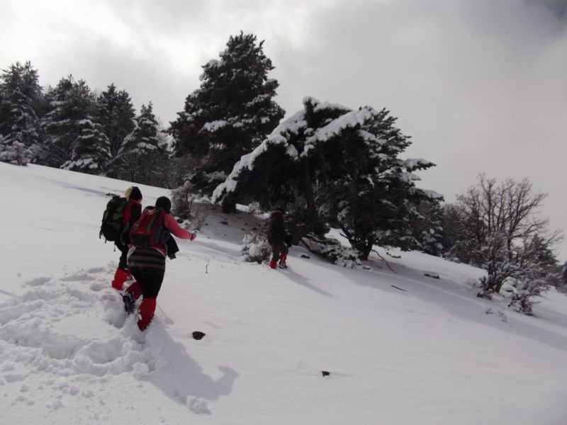 DSCF2070.JPG