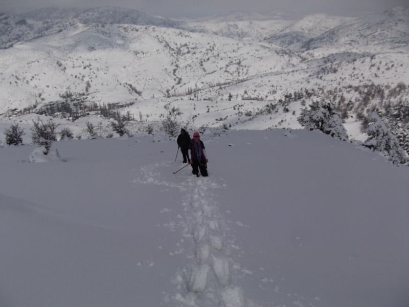 DSCF2073.JPG