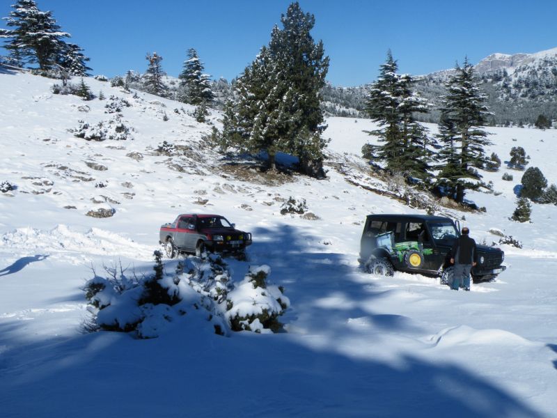DSCF2077.jpg