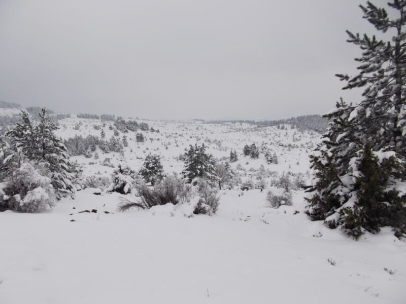 DSCF2108.JPG