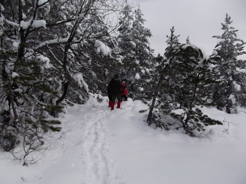DSCF2114.JPG