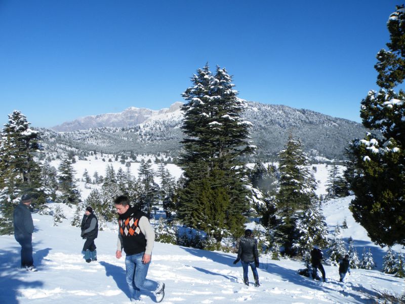 DSCF2122.jpg