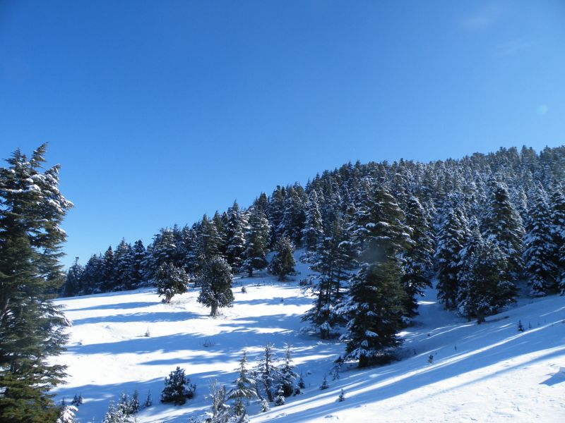 DSCF2123.jpg