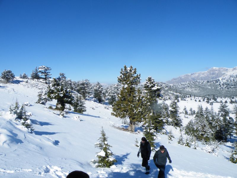 DSCF2124.jpg