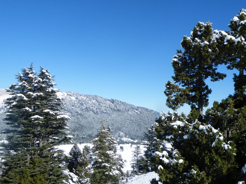 DSCF2126.jpg