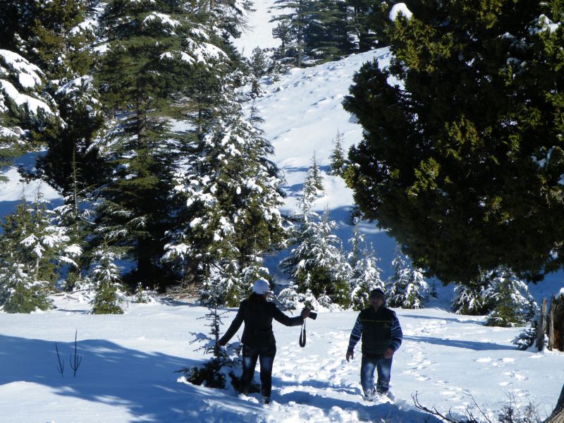 DSCF2127.jpg