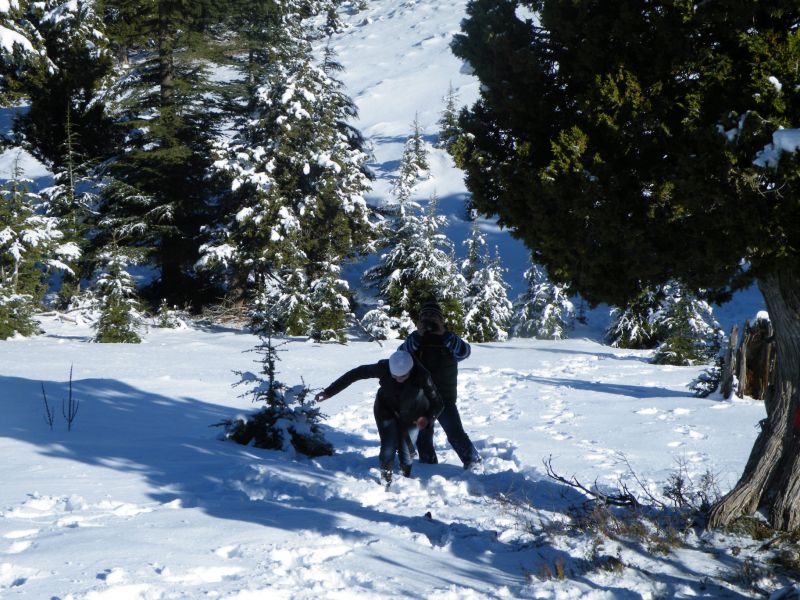 DSCF2128.jpg