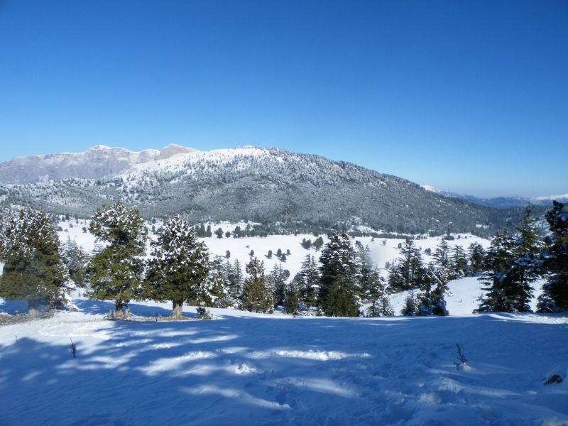 DSCF2134.jpg