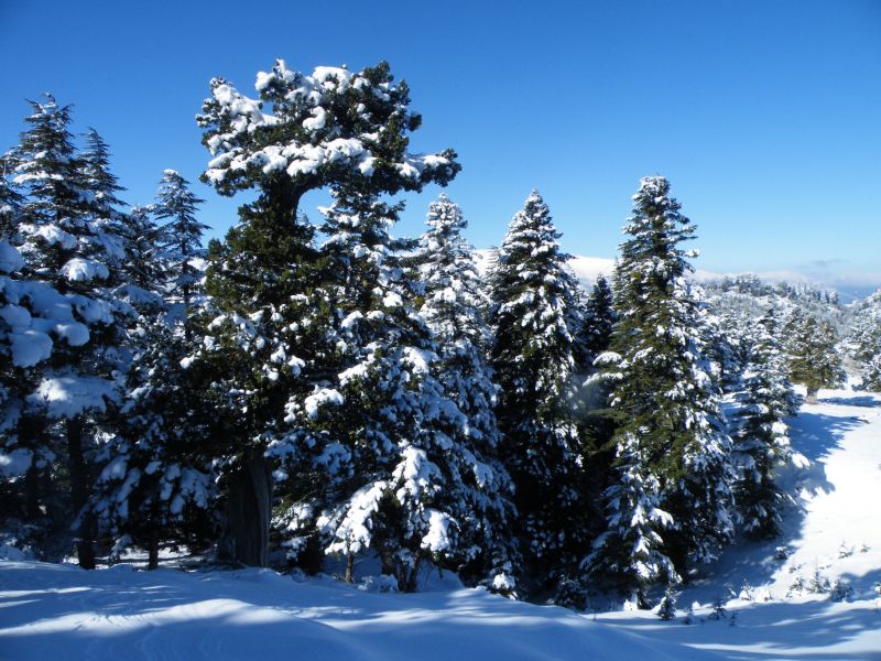 DSCF2135.jpg