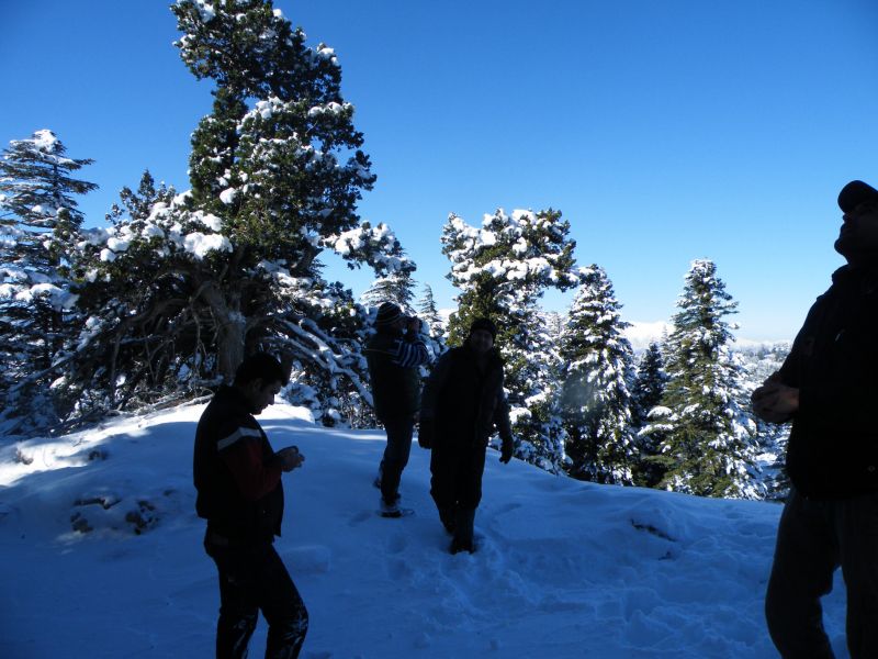 DSCF2136.jpg