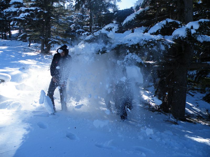 DSCF2139.jpg