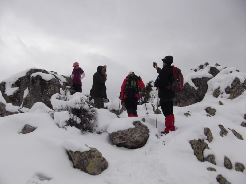 DSCF2139.JPG