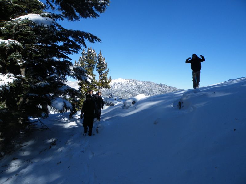 DSCF2141.jpg