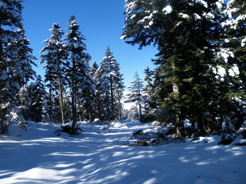 DSCF2144.jpg