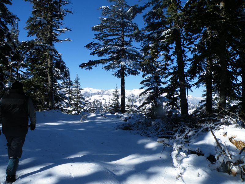 DSCF2145.jpg