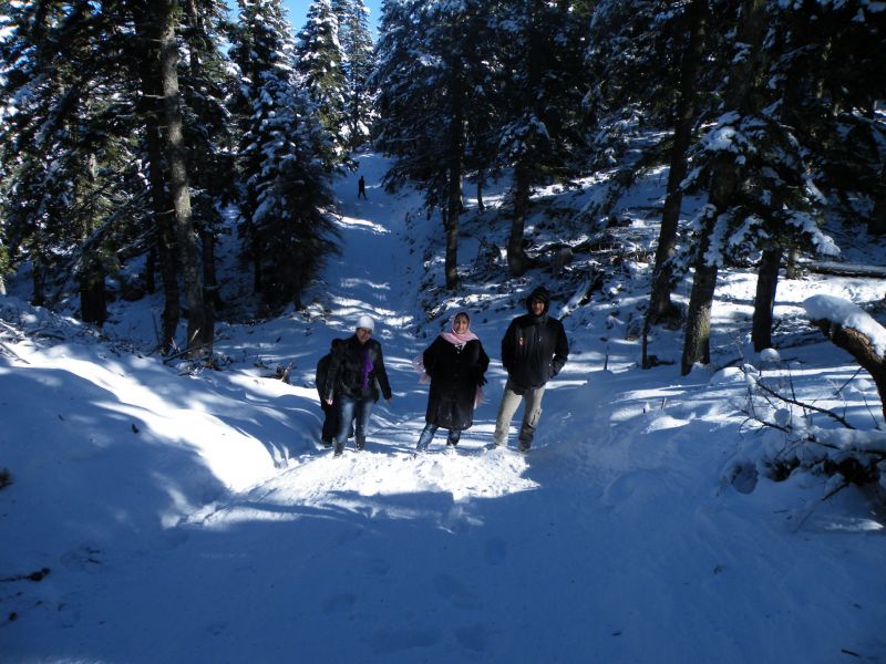 DSCF2146.jpg