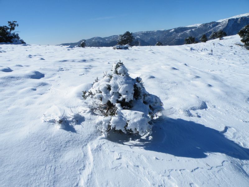DSCF2148.jpg
