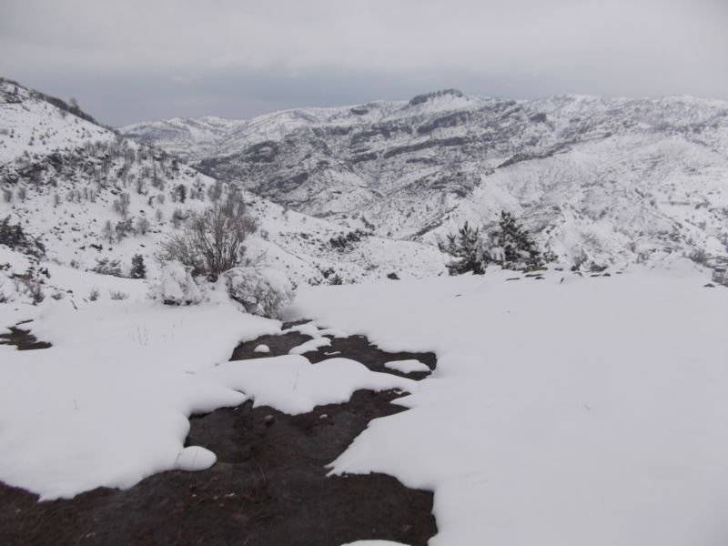 DSCF2149.JPG