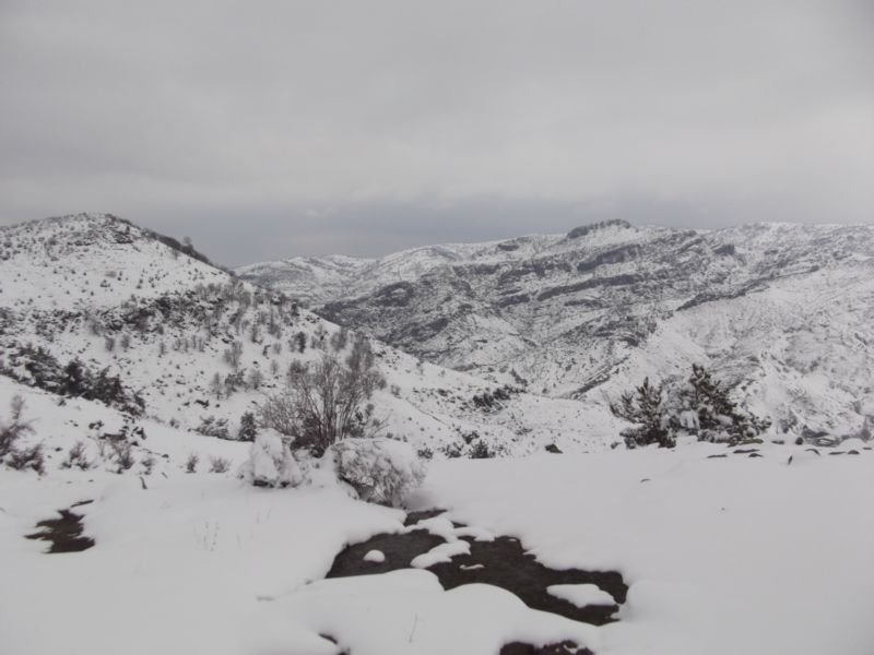 DSCF2153.JPG