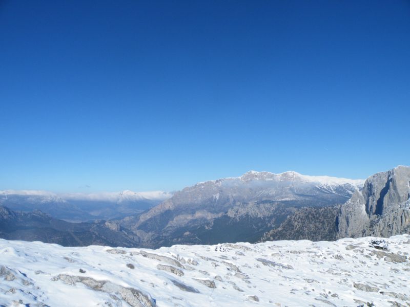 DSCF2174.jpg