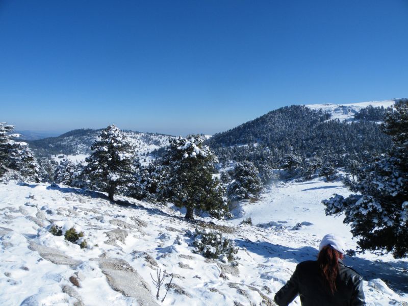 DSCF2177.jpg
