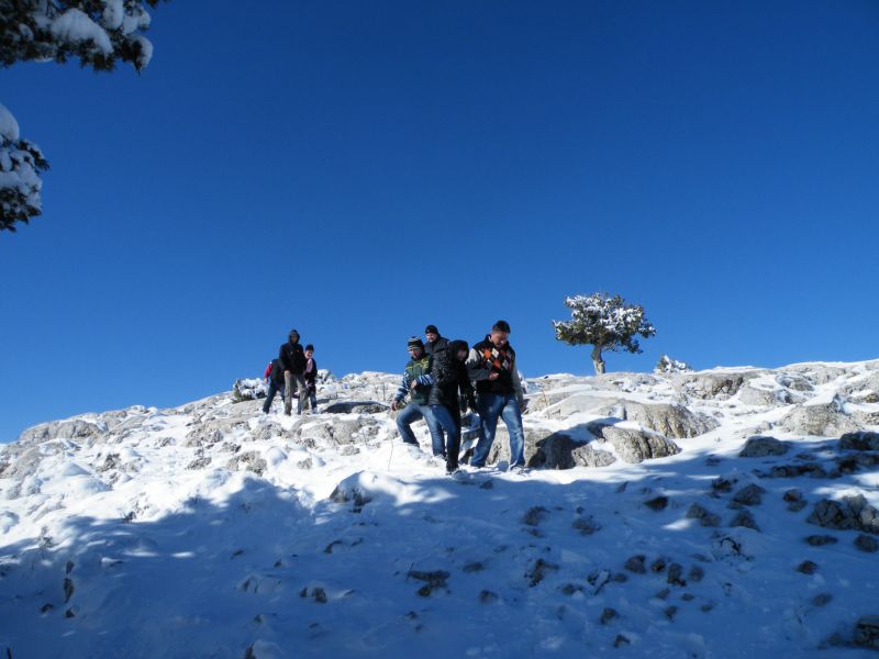DSCF2178.jpg