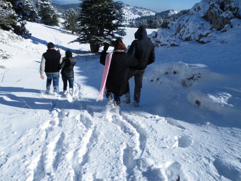 DSCF2183.jpg